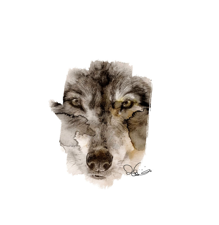 I Started Drawing Animals For First Time In Years And Learned A New Art Style Along The Way I Started Drawing Animals For First Time In Years And Learned A New Art Style Along The Way