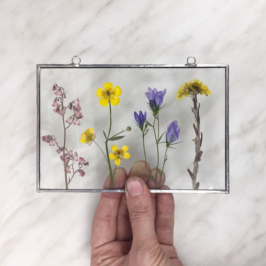 Flowers In My Life: How I Learned Many New Things Thanks To One New Hobby