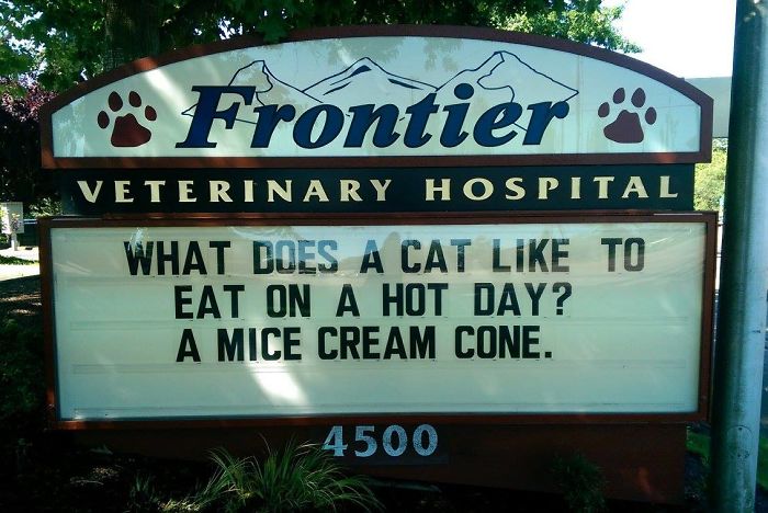 Funny-Cat-Veterinary-Clinic-Signs