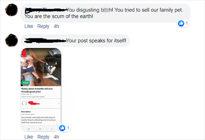 Woman Posts About Missing Dog On Facebook And Finds Another Woman Trying To Sell It