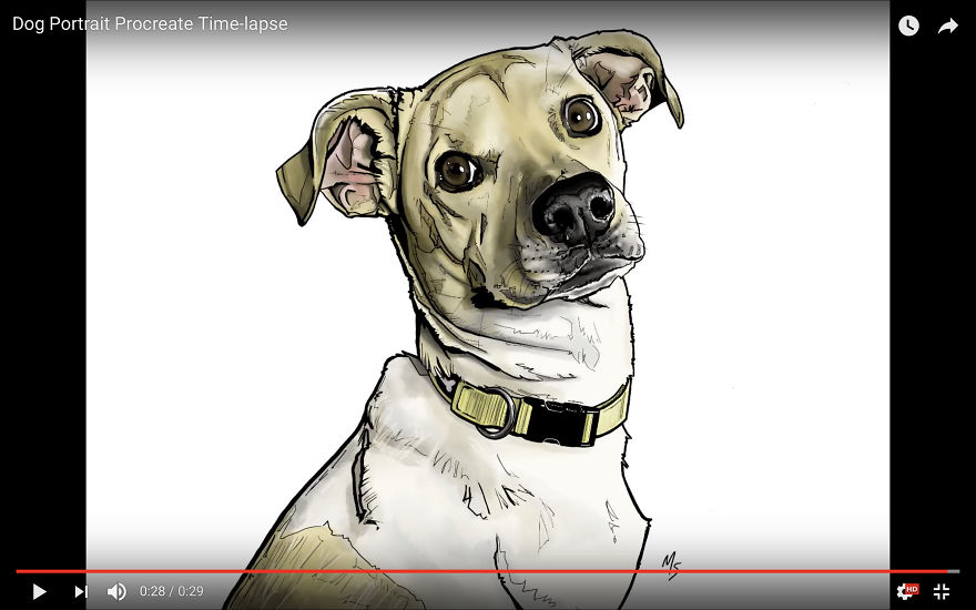10 Cutest Dog Drawing Tutorials