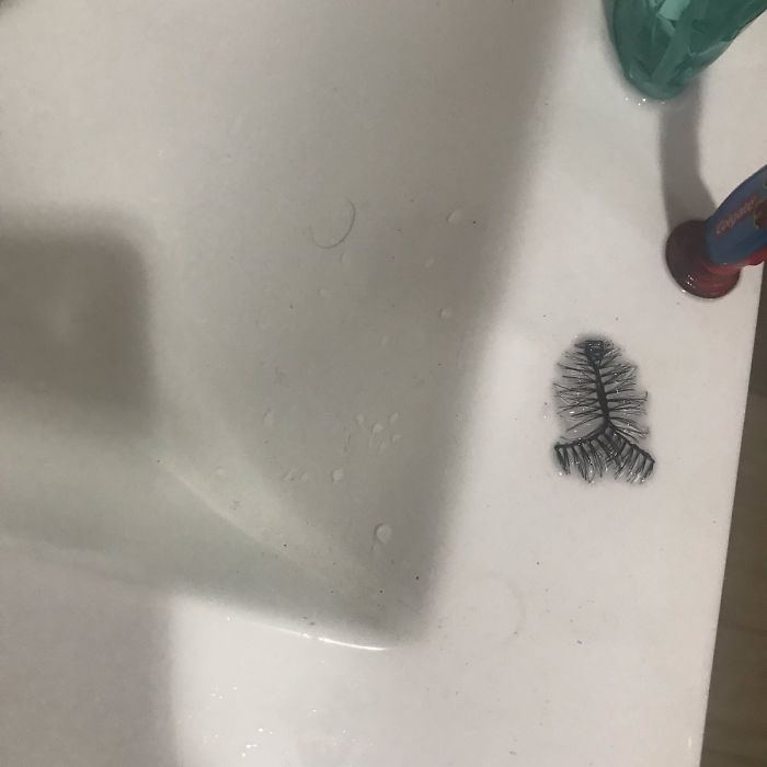 Almost Got A Heart Attack This Morning. I Was So Sleepy Yesterday I Forgot I Put My Lashes On The Sink And I Freaked Out When I Saw This