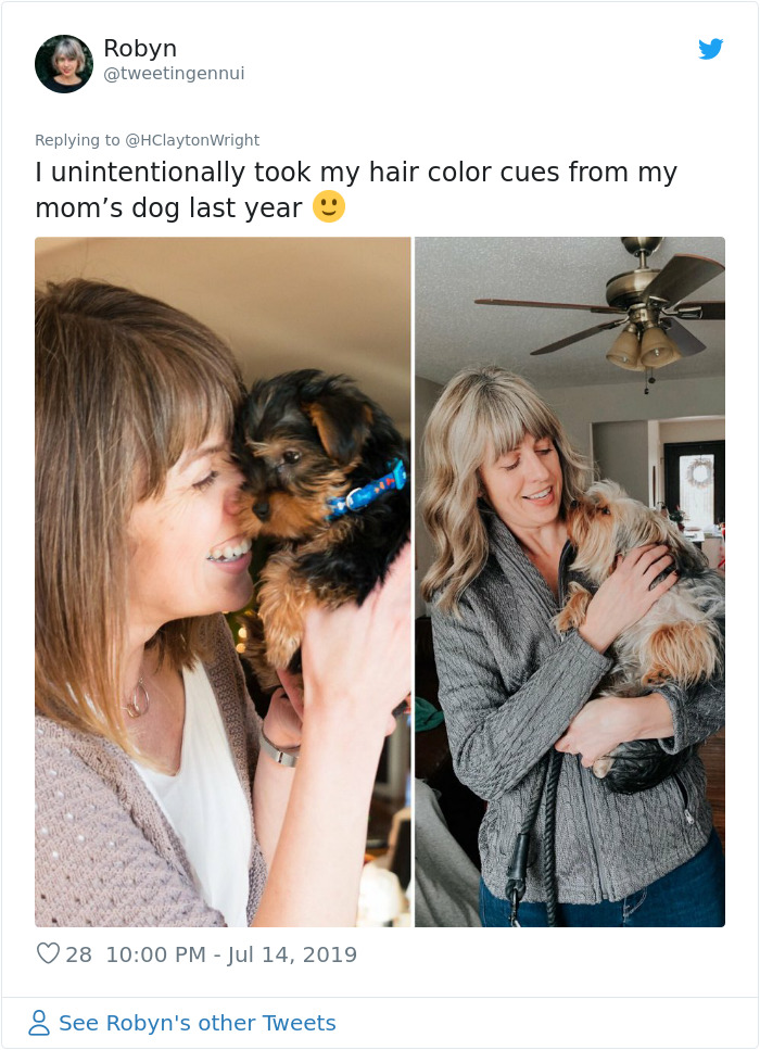 Owners-Look-Like-Their-Pets-Hair-Style