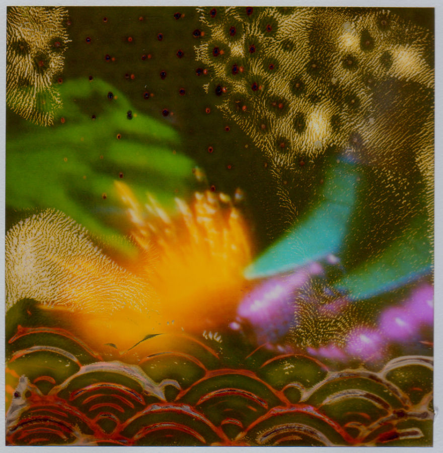I Abstracted Oz Without Photoshop