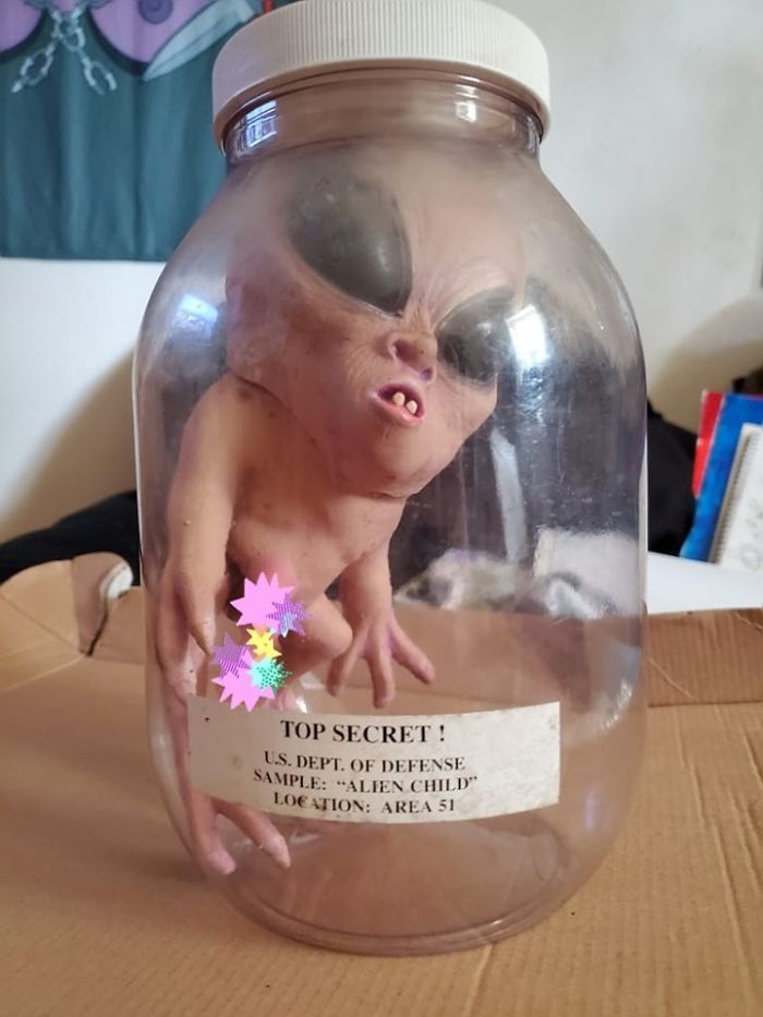 My Alien Child From Area 51. Found At Goodwill In Spanaway About Ten Years Ago