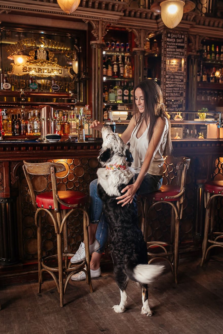 One Unusual Activity With Your Dog,
beer Tasting For Dogs And Humans One Unusual Activity With Your Dog,
beer Tasting For Dogs And Humans