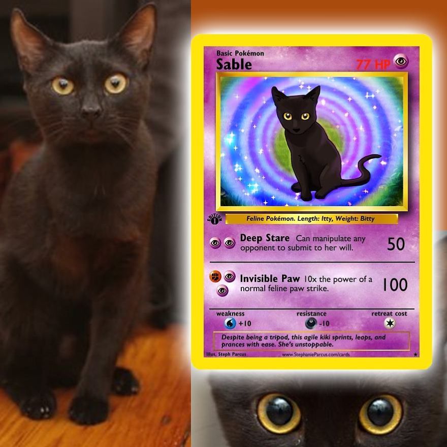 This Artist Transforms Any Pet Into Pokémon Cards