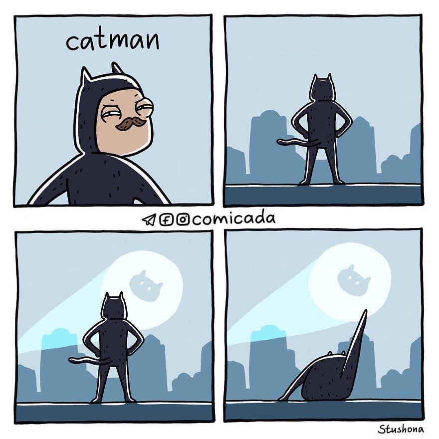 If My Cat Was A Super Hero