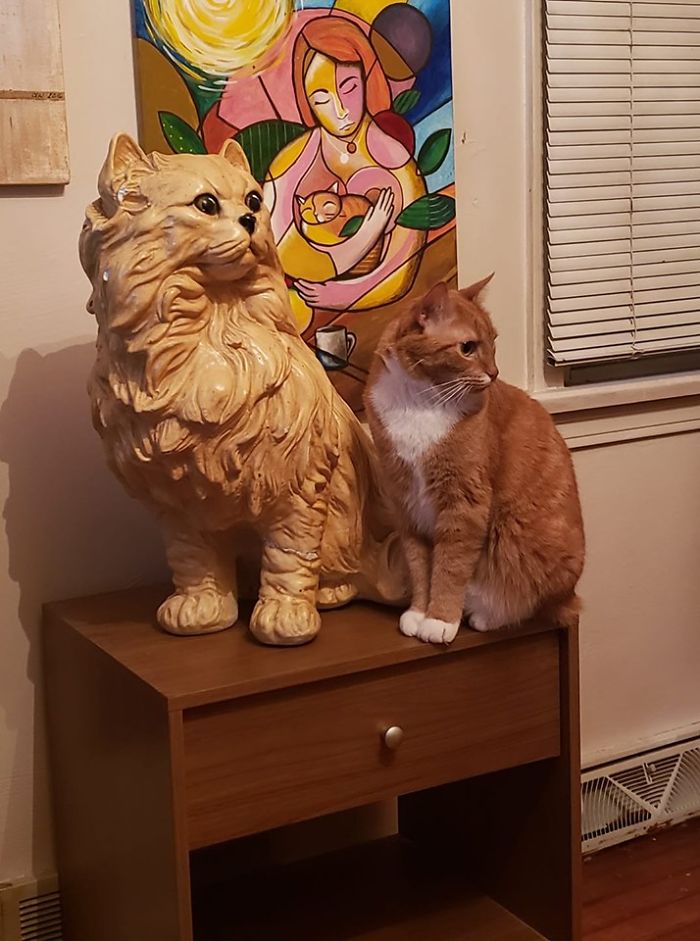 My $4.99 Goodwill Find, Next To My Home Depot Find, In Front Of A Portrait Of Said Find. The Real Kitty's Name Is Nugget And He Was Found At Less Than A Week Old, In A Flowerpot At Home Depot