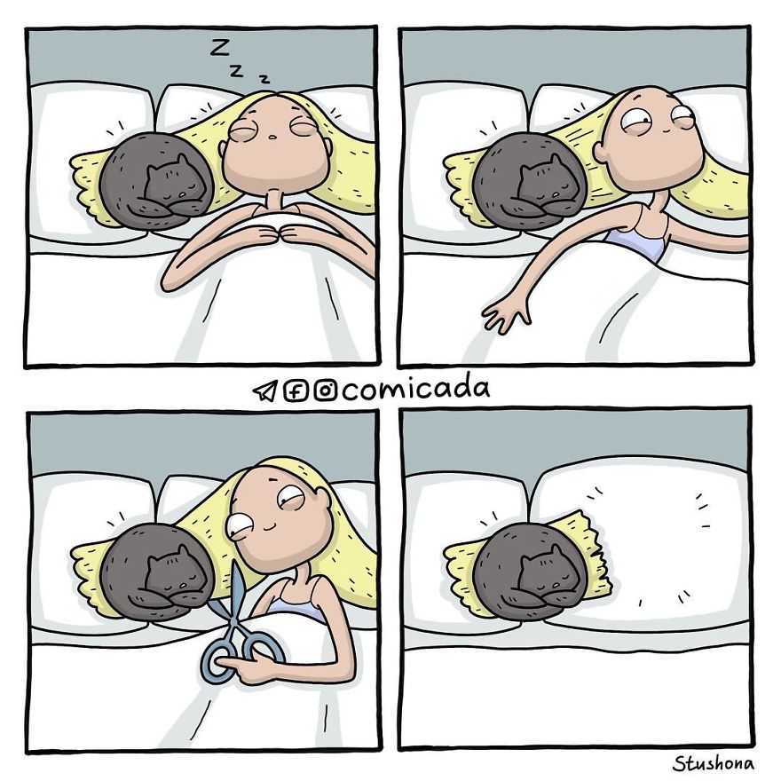 Do Not Disturb The Kitten 