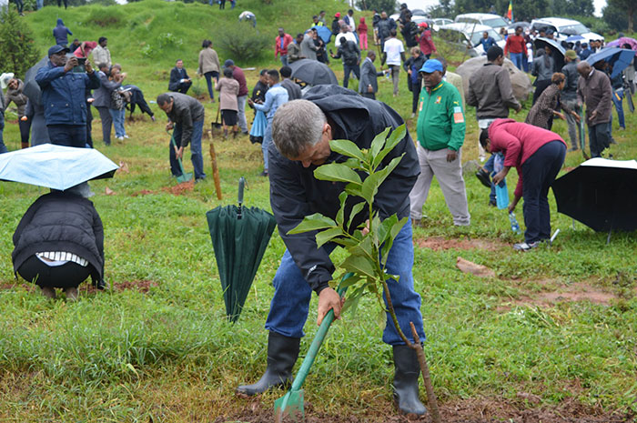 Ethiopia 'Breaks' World Record For Tree Planting By Planting 350 Million Trees In 12 Hours