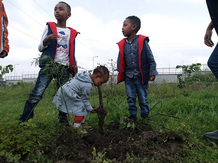 Ethiopia 'Breaks' World Record For Tree Planting By Planting 350 Million Trees In 12 Hours