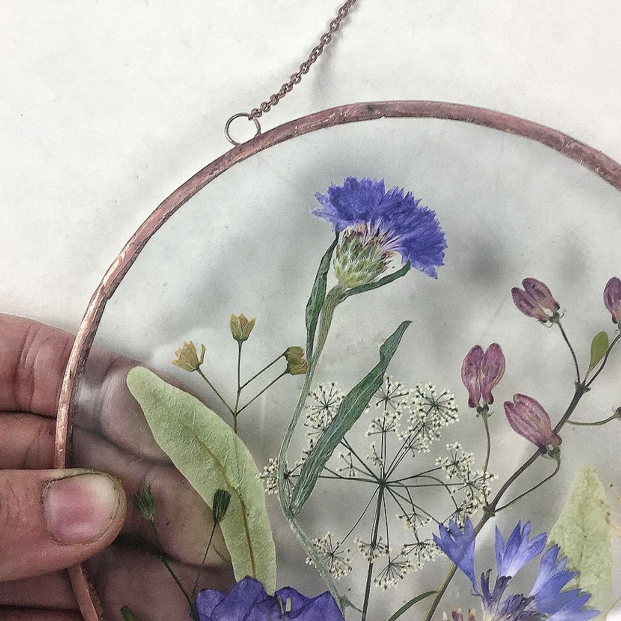 Flowers In My Life: How I Learned Many New Things Thanks To One New Hobby