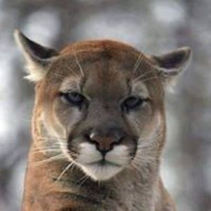 stefan_duchev avatar