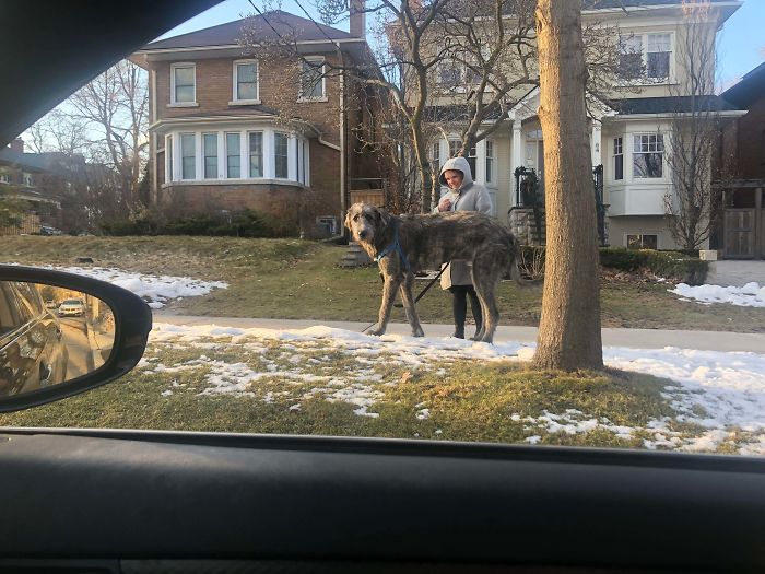Saw This Guy Driving Home. Had To Pull Over Because I Have Never Seen Anything Like This In My Life