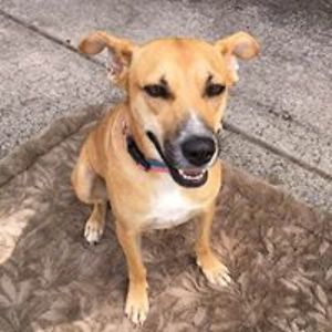 alice_jackson_1 avatar