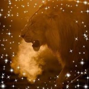 miloot_rubengrootveld avatar