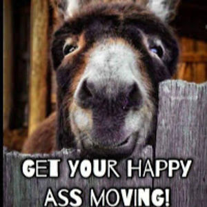 thomasedwards avatar