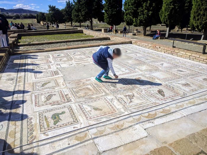Kid Drops A Squeeze Ball Over An Ancient Roman Mosaic. Parents Let Him Go Fetch It, Ruining The "Birds Mosaic" Of Italica, Spain
