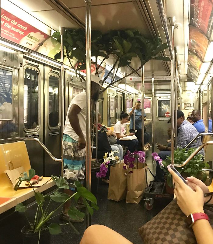 Thought Of You All When I Saw This Guy Selling Plants On My Subway Ride Home. He Kept Saying Things Like “I Don’t Sell Weed, I Just Sell Tropical Plants”
