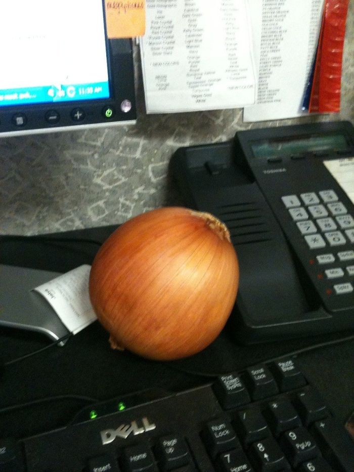 My Supervisor Put Onions On Everyone's Desk To "Absorb Germs In The Call Center." I'm Terrified To Be Employed By These People