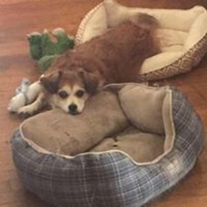 neves_melanie avatar