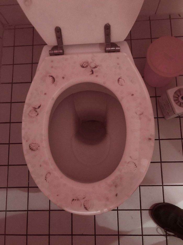This Toilet Seat Is Indeed “Crappy” Design; After A Horrified Double-Take I Discovered The Seashell Motif