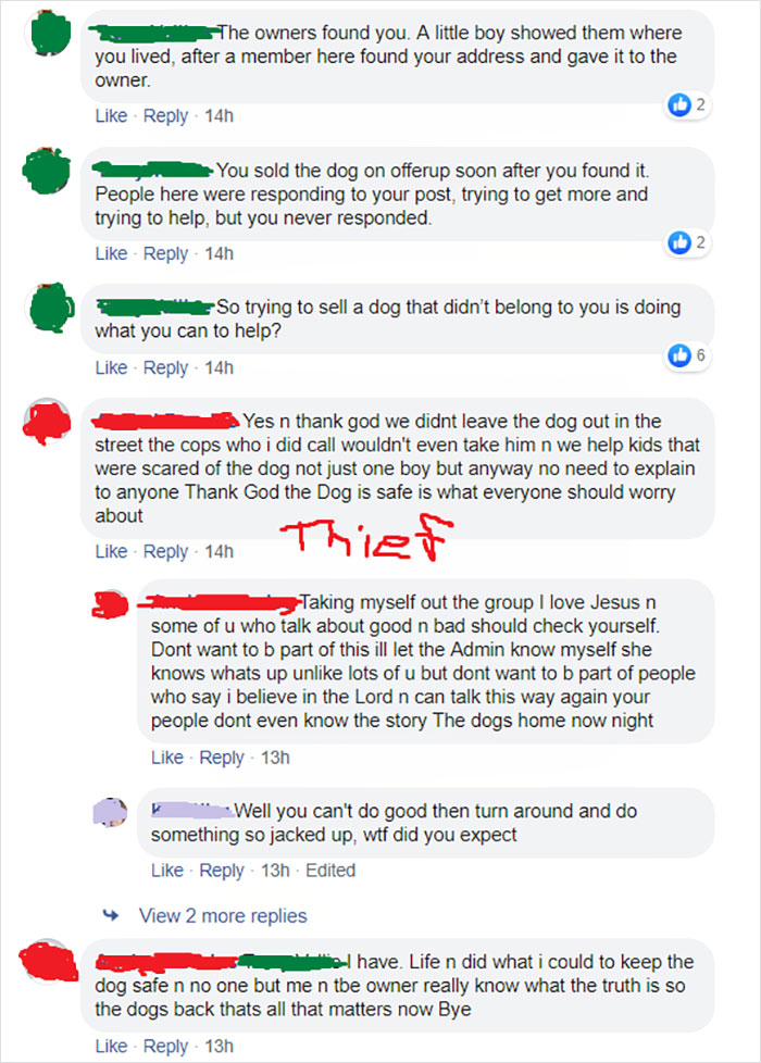 Woman Posts About Missing Dog On Facebook And Finds Another Woman Trying To Sell It