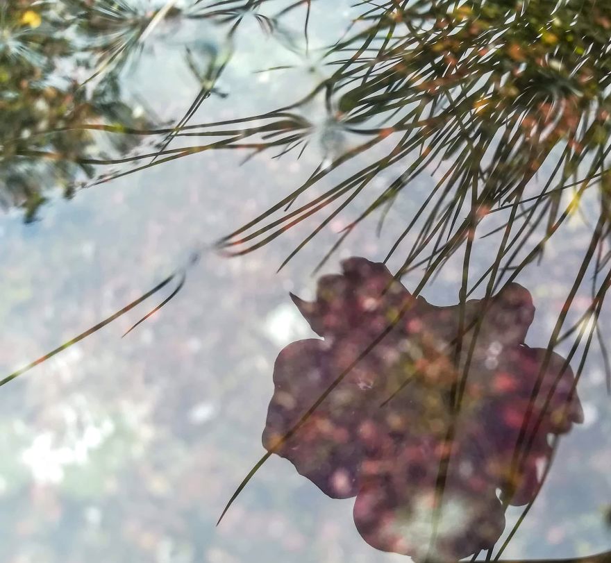 I Used Water To Create Different Reflection Images
