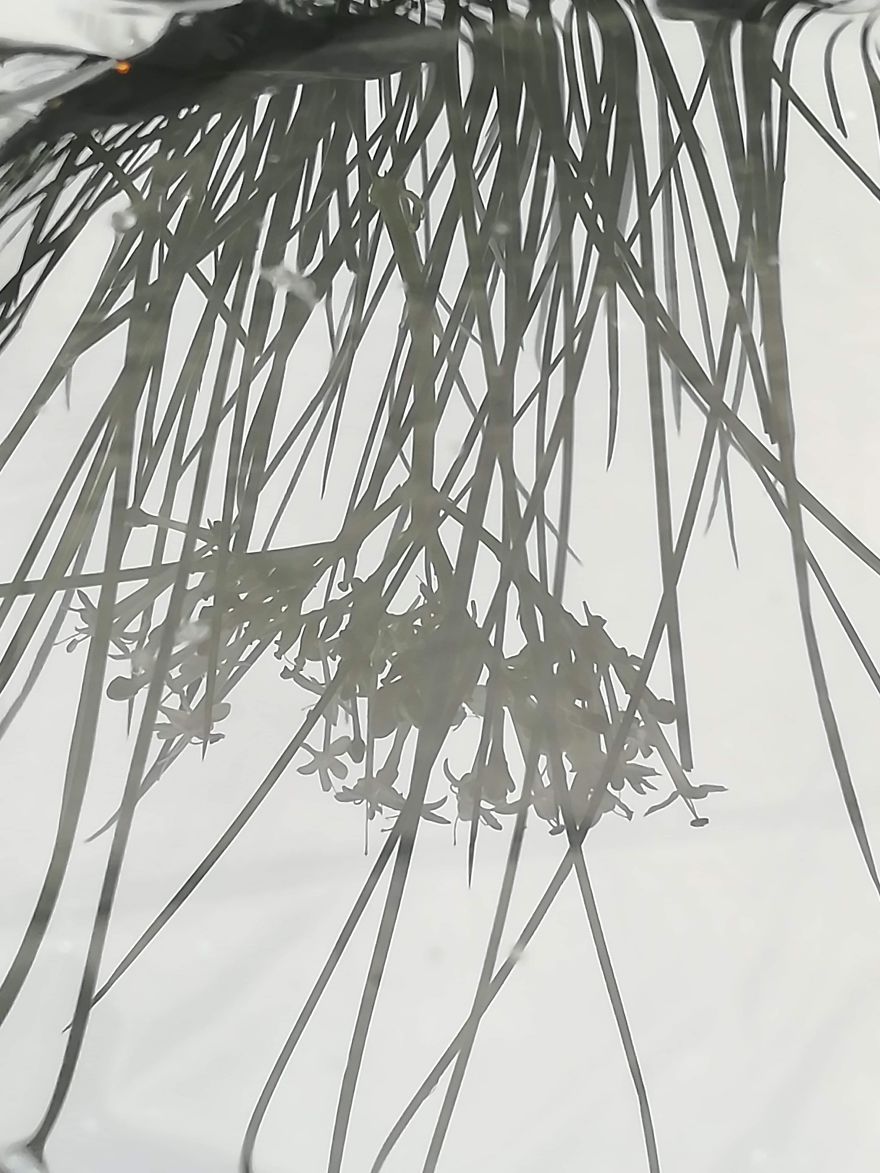 I Used Water To Create Different Reflection Images