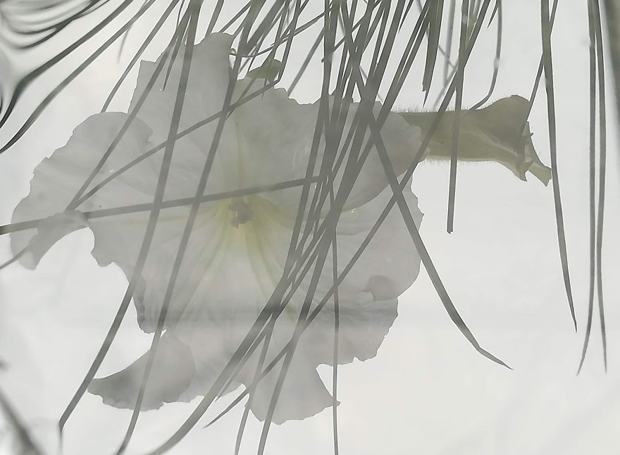 I Used Water To Create Different Reflection Images