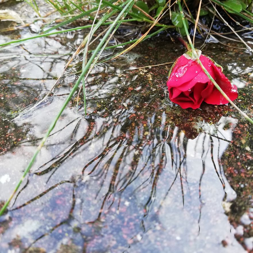 I Used Water To Create Different Reflection Images