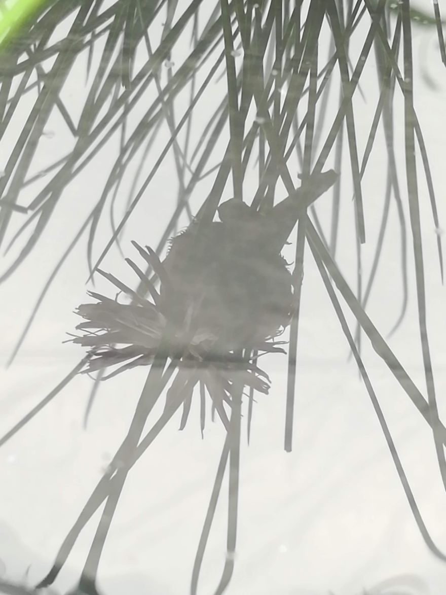 I Used Water To Create Different Reflection Images