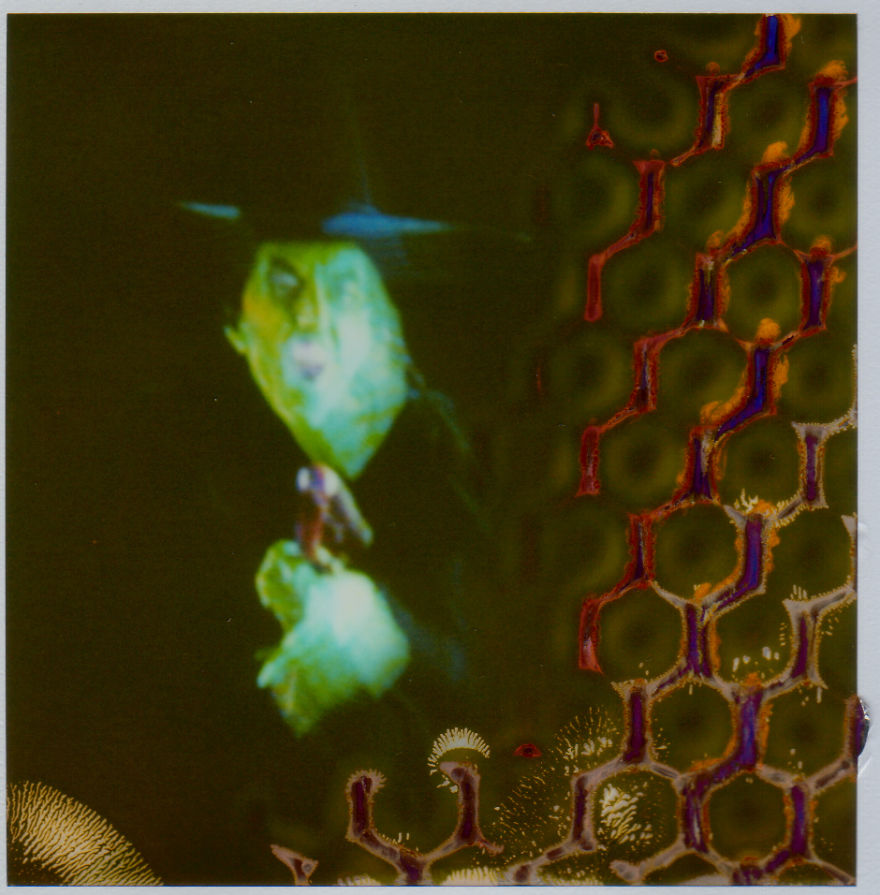 I Abstracted Oz Without Photoshop