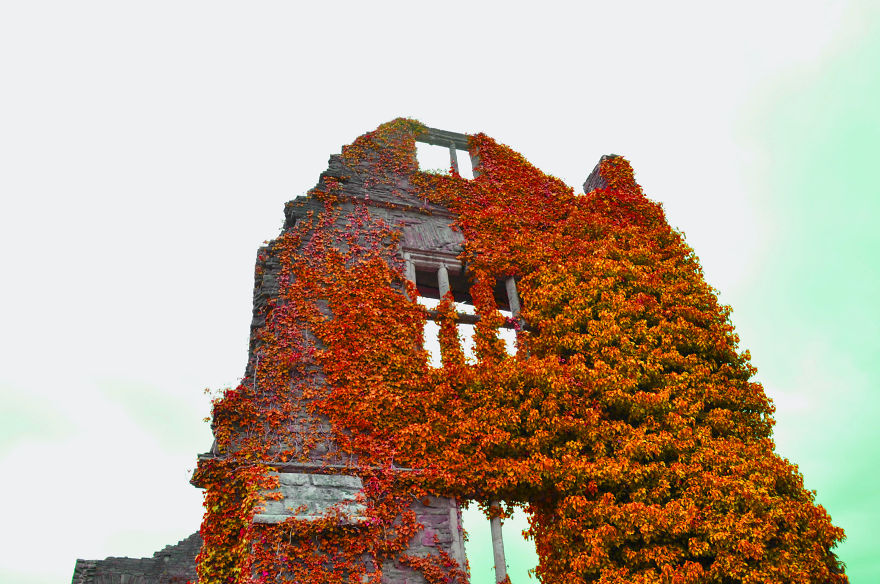 I Looked For Peace In Beautiful South Wales I Looked For Peace In Beautiful South Wales