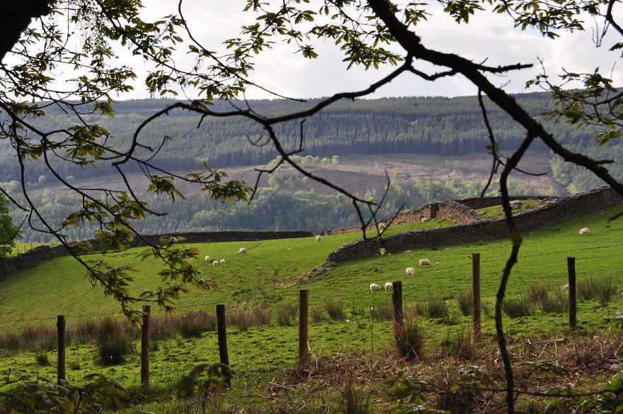 I Looked For Peace In Beautiful South Wales I Looked For Peace In Beautiful South Wales