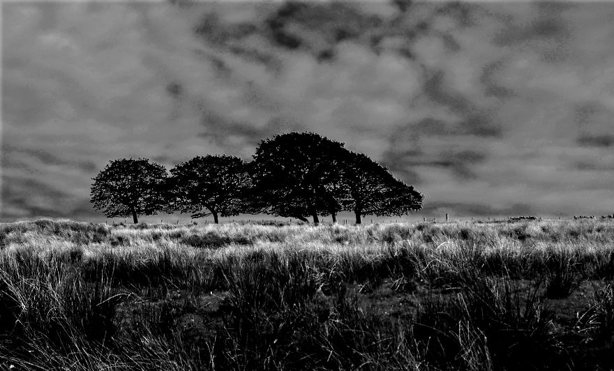 I Looked For Peace In Beautiful South Wales I Looked For Peace In Beautiful South Wales