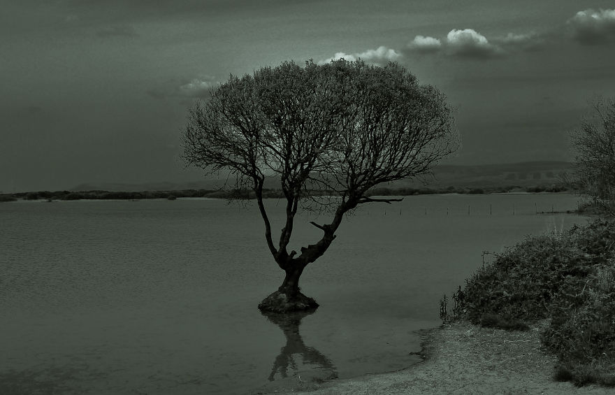 I Looked For Peace In Beautiful South Wales I Looked For Peace In Beautiful South Wales