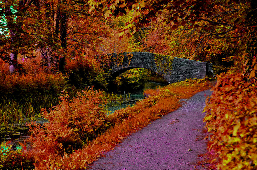 I Looked For Peace In Beautiful South Wales I Looked For Peace In Beautiful South Wales