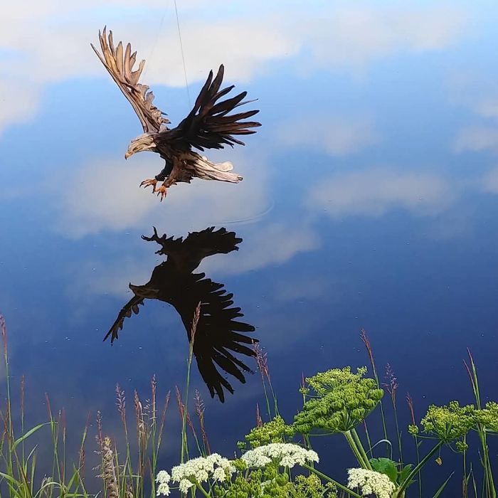 30 Amazing Wood Sculptures Made From The Pieces Found On Beaches