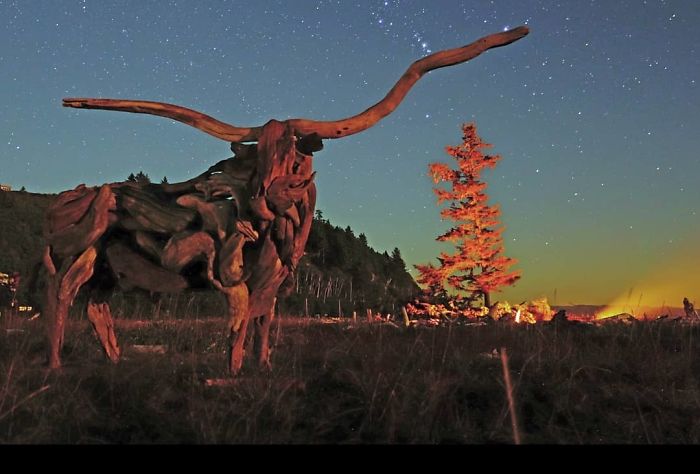 30 Amazing Wood Sculptures Made From The Pieces Found On Beaches