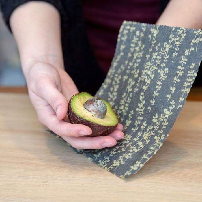 This 24-Year-Old Created Organic Zero-Waste Food Packaging To Replace Plastic