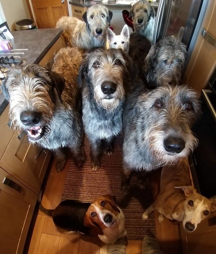 We Want Your Toast!