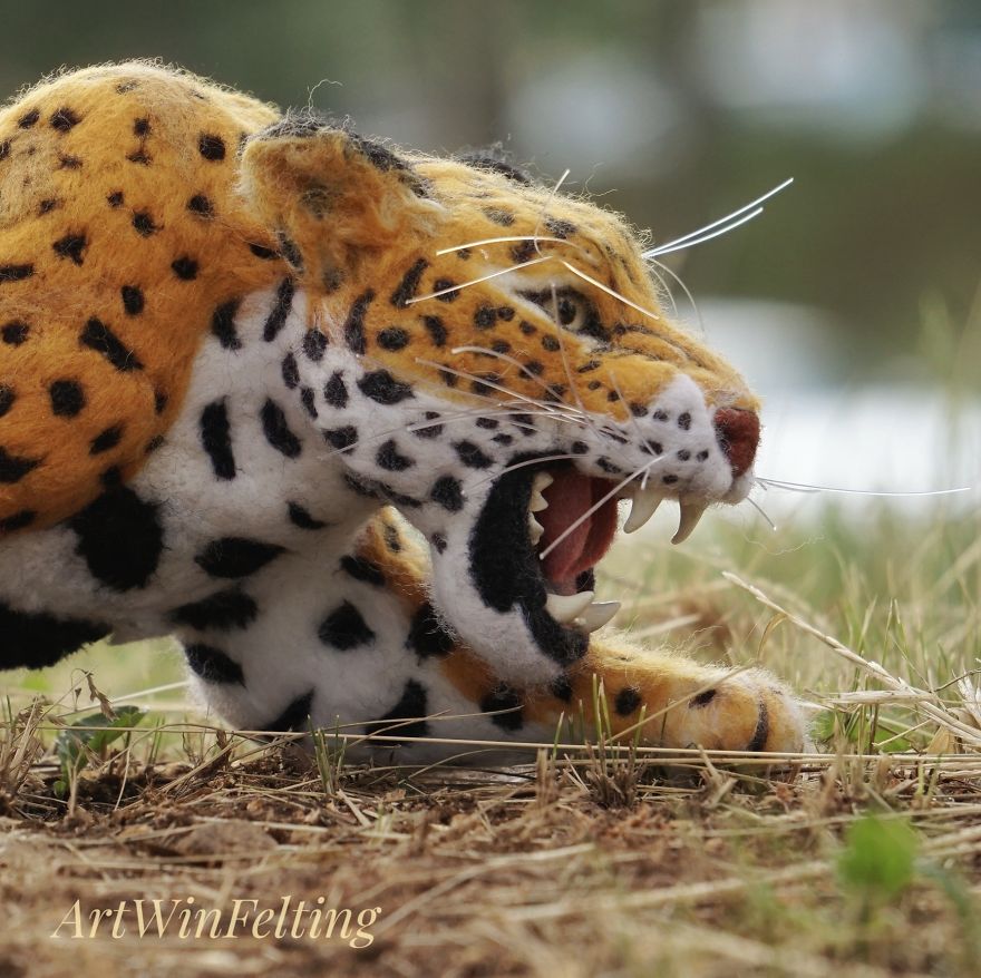 I Have A Magic Wand To Create Endangered Animals I Have A Magic Wand To Create Endangered Animals