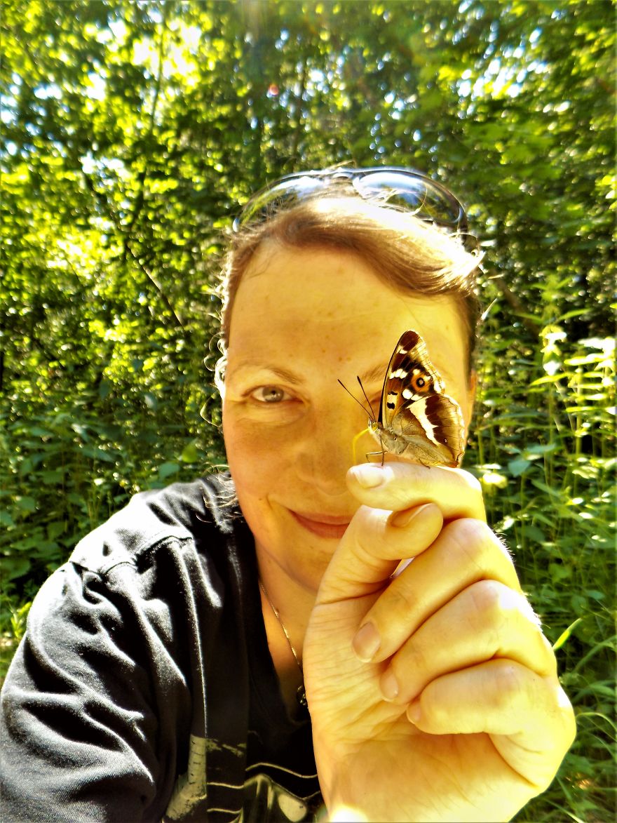 A Butterfly Sign From The Universe A Butterfly Sign From The Universe