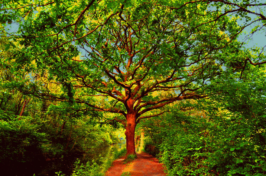 I Looked For Peace In Beautiful South Wales I Looked For Peace In Beautiful South Wales