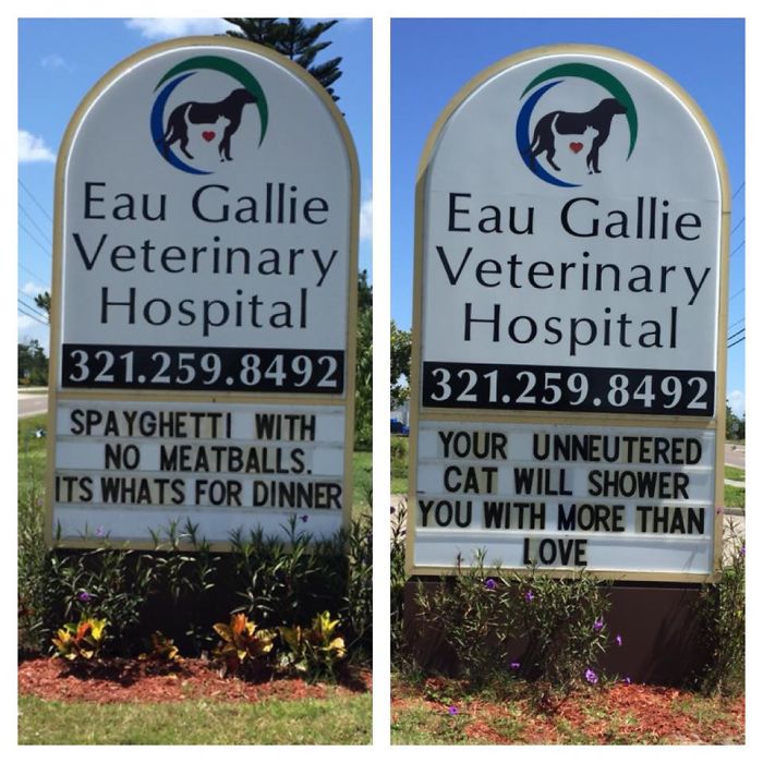 Funny-Cat-Veterinary-Clinic-Signs