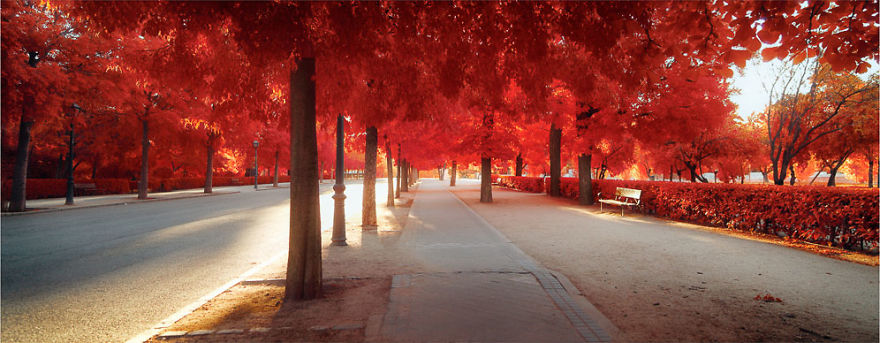 He Discovers Madrid In Infrared !