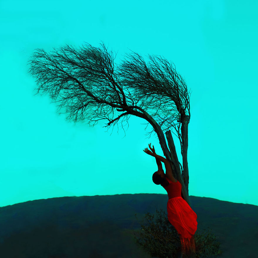 I Created Different Love Stories With An Old Dead Tree