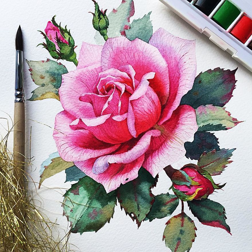 I Draw Watercolor Flowers Every Day For The Last 3 Years